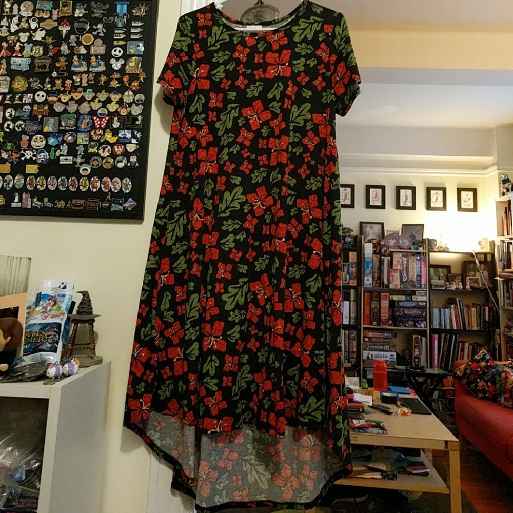 LuLaRoe Floral Carly Size Small